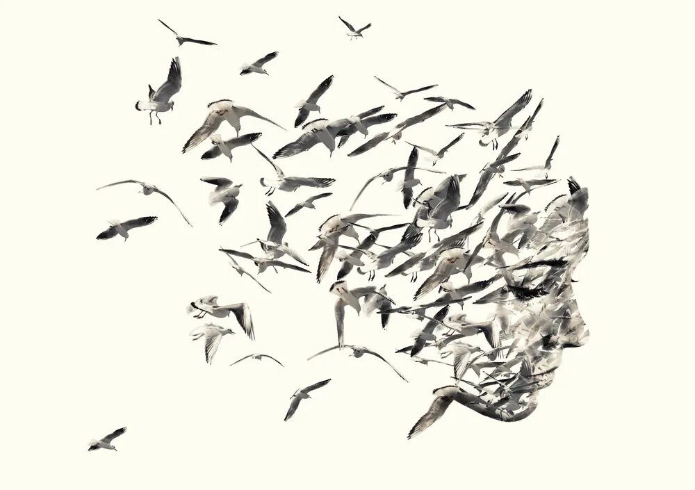 Мысли птички. Двойная экспозиция птицы. стая птиц графика. мысли птицы. птица абстракция черно белый.