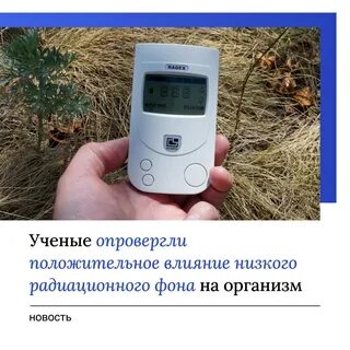 Снижает уровень радиации