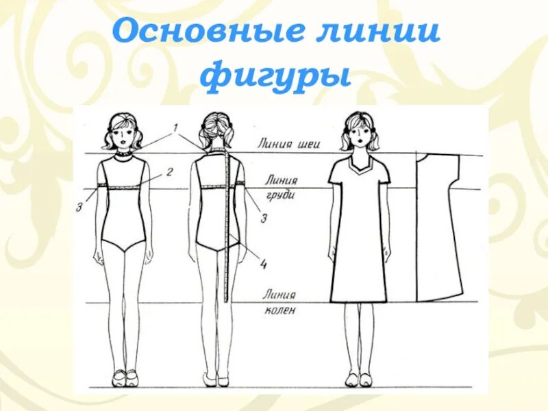 Конструктивные линии в одежде. Основные линии фигуры. конструктивные линии фигуры.