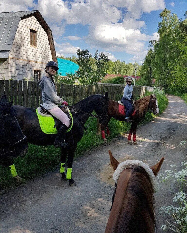 Где покататься на коне. Покататься на лошадях. катание на лошадях челябинск. иноземцево катание на лошадях. конные прогулки в зюкайке.