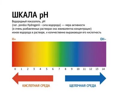 Нормы ГОСТа по уровню pH: от 3 до 11,5. Показатель pH рассказывает о кислот...