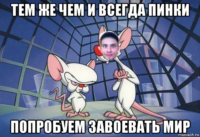 Как захватить мир. Попробуем завоевать мир. пинки и брейн завоевать мир. попытаемся завоевать мир. брейн попробуем завоевать мир.