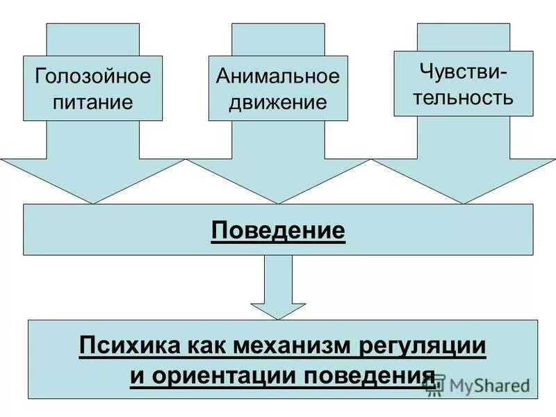 Биология 9 класс психика и поведение человека