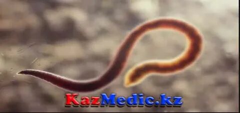 Оргазм Блисс фильмін онлайн көріңіз