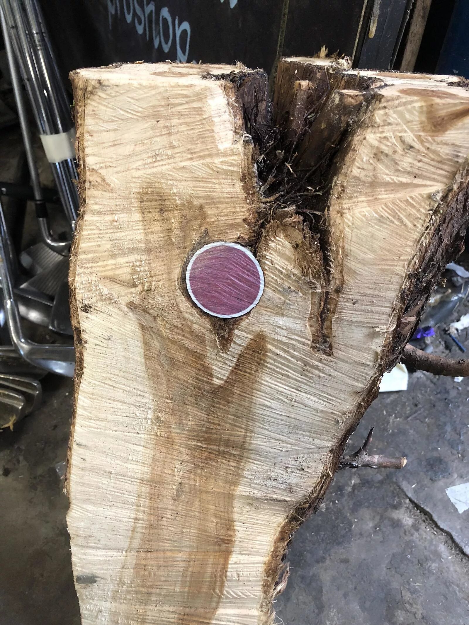 Log inside