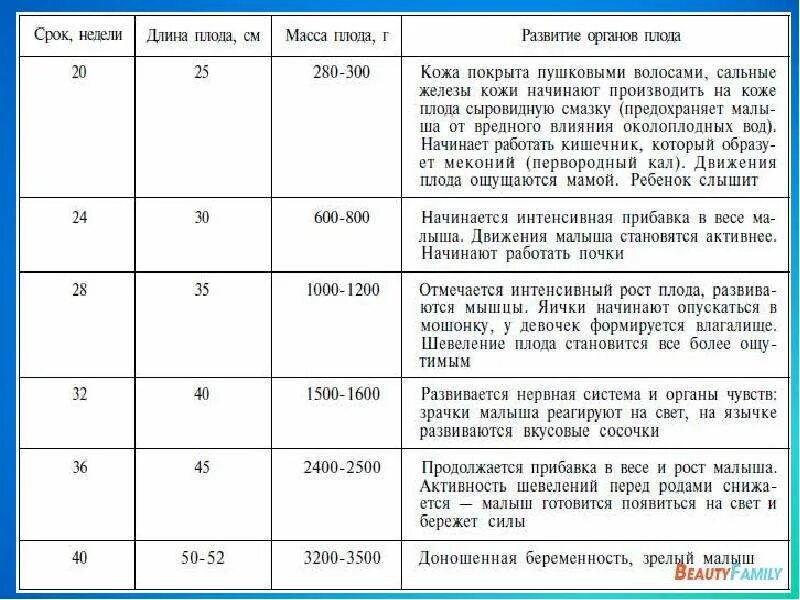 На какой неделе формируется. Периоды внутриутробного развития плода таблица. Этапы внутриутробного развития плода таблица. Беременность этапы внутриутробного развития плода. Формирование внутренних органов у плода по неделям.