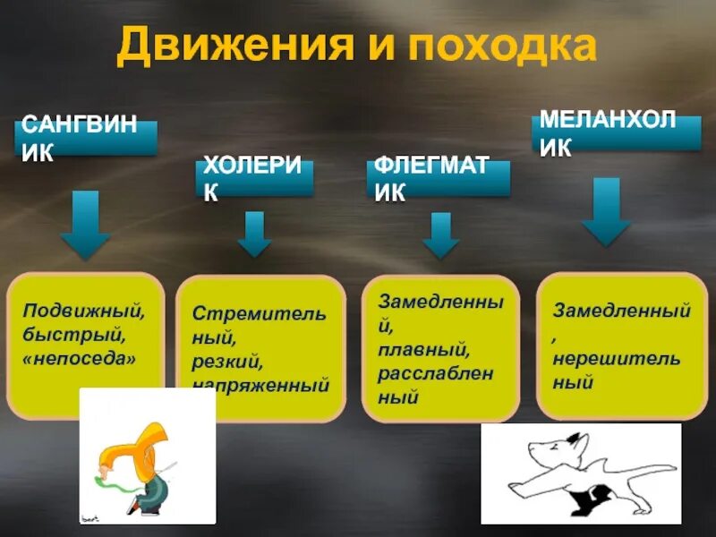 Типы походок. Темперамент движения. Движение и походка по темпераменту. Сангвиник движения и походка. Движения и походка холерика.
