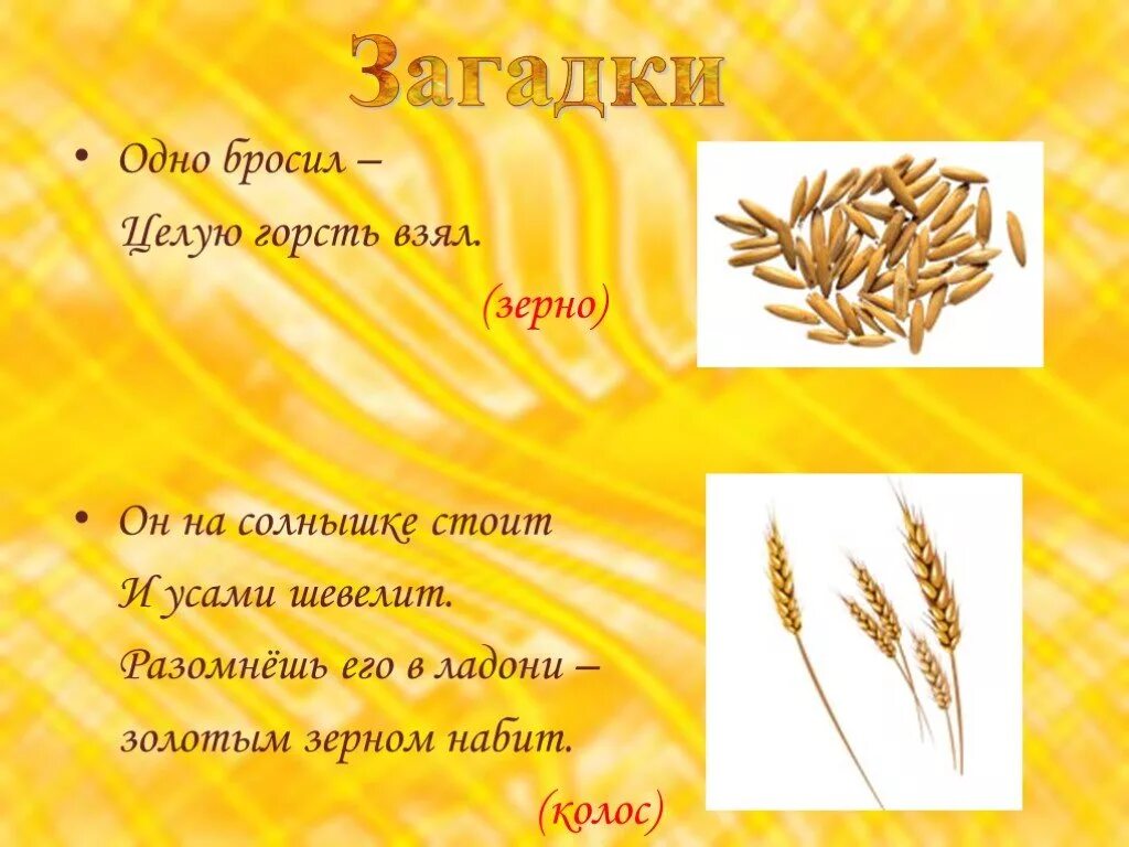 Зернышко выйди выйди солнышко