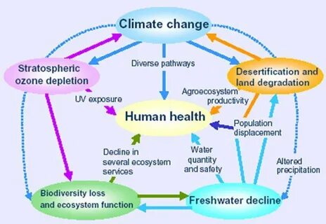 Human climate
