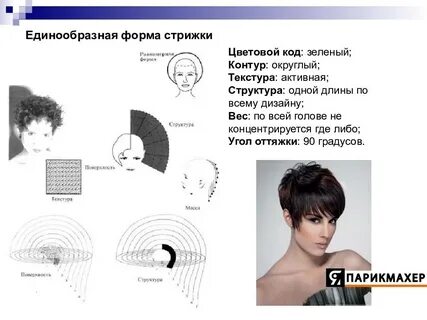 Характеристика стрижки волос