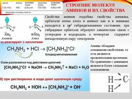 Амин органическое соединение