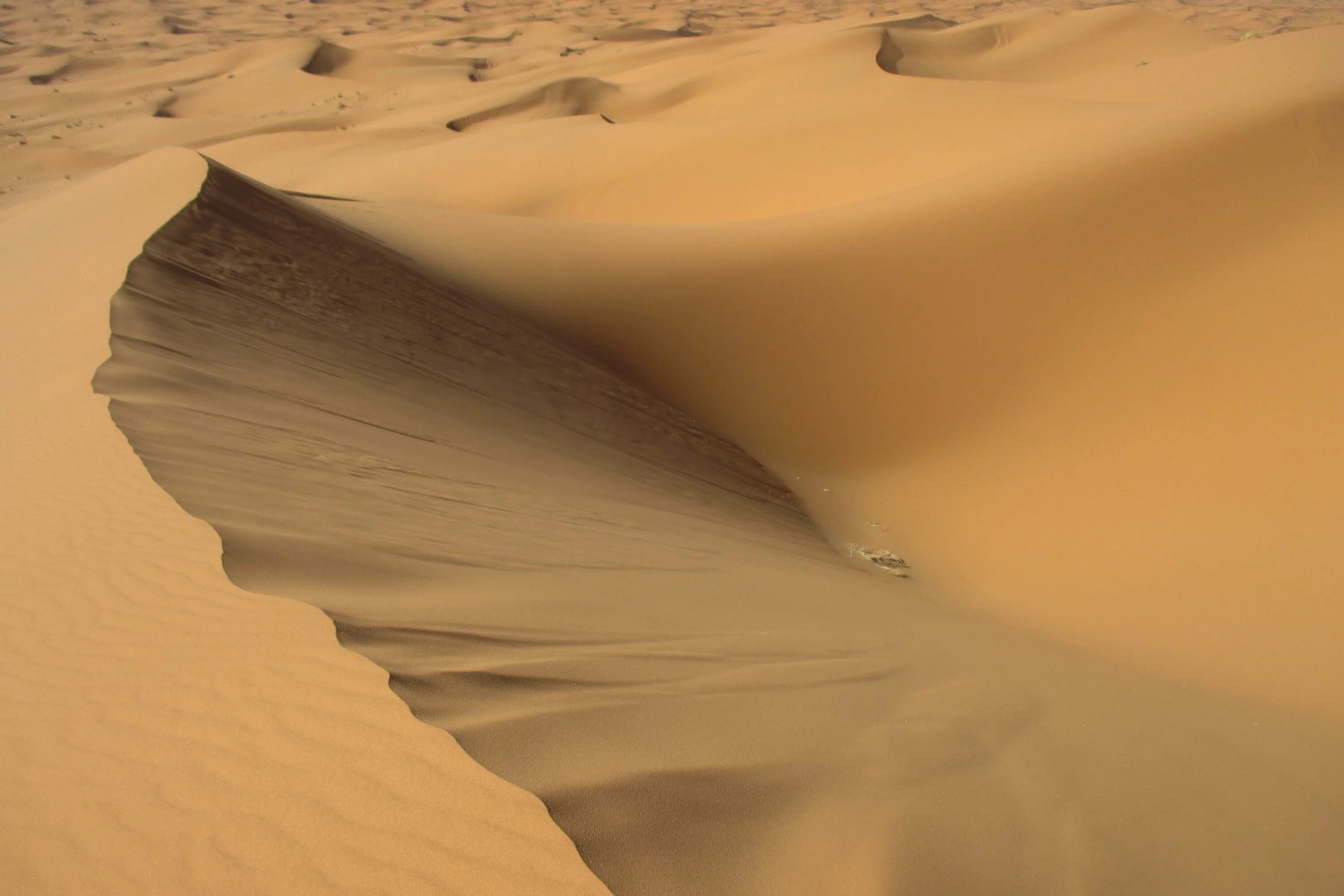 Сколько песок в сахаре. Песчаная Дюна цвет палитра. Пустыня сахара. Песок пустыни. Песок сахара.