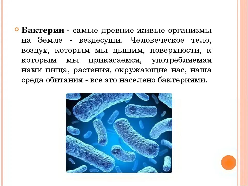 Бактерии бактерии 5 класс биология. Доклад о бактериях. Бактерии гетеротрофы. Презентация на тему микроорганизмы. Почему простейшие живые