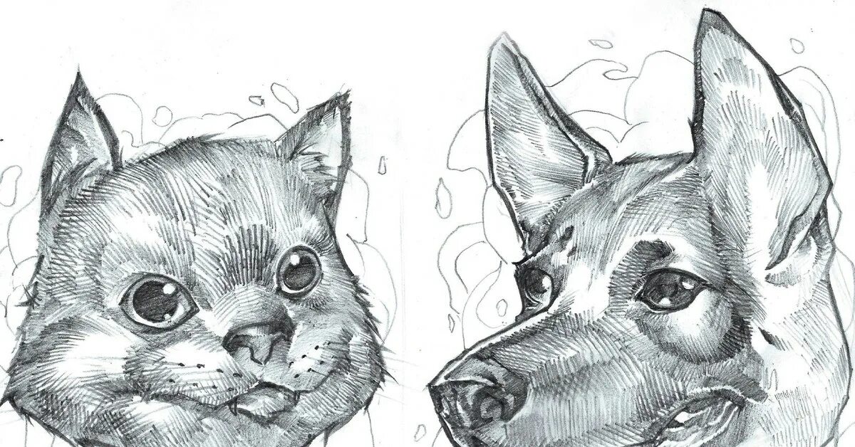 Рисование кошек и собак. Щенок рисунок. Рисование котенок и щенок. Раскраска кошка и собачка. Кошка и собака рисунок.