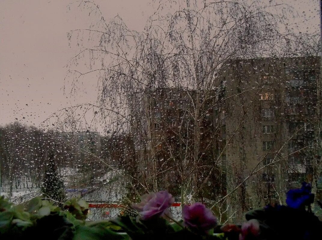 дождь в окне.