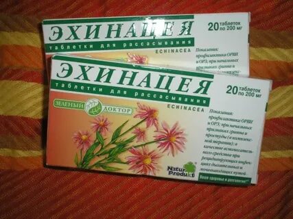 Эхинацея лекарство