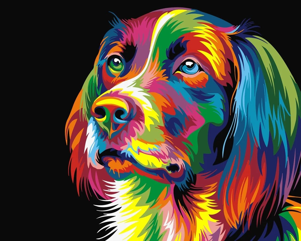 More animal colors
