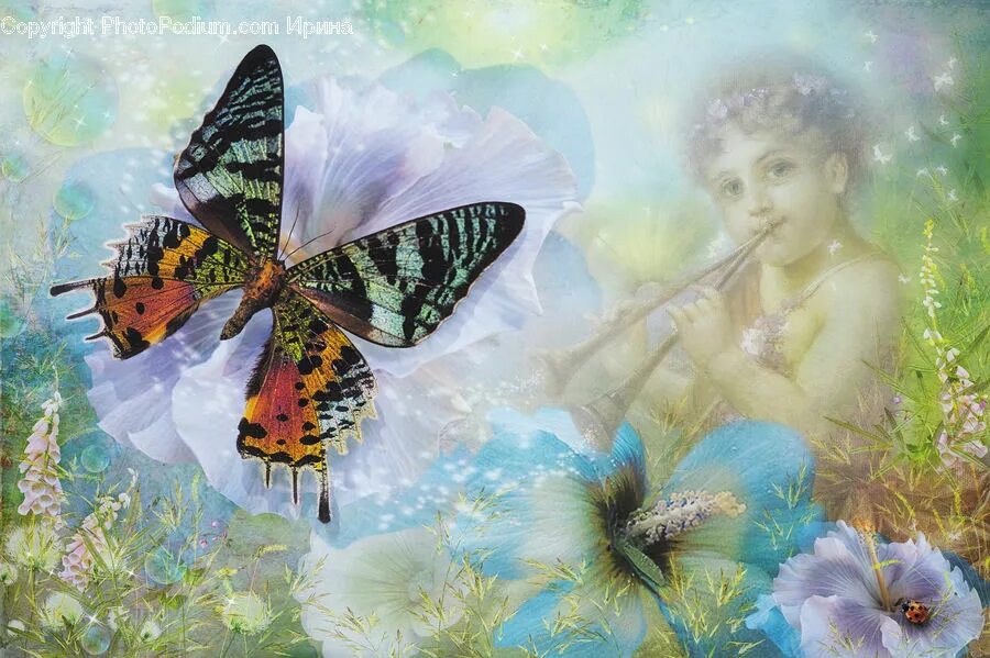 Песни бабочка ночь. Сказочный мотылек. Цветы и бабочки живопись. Бабочка музыкальная. Шуман бабочки.