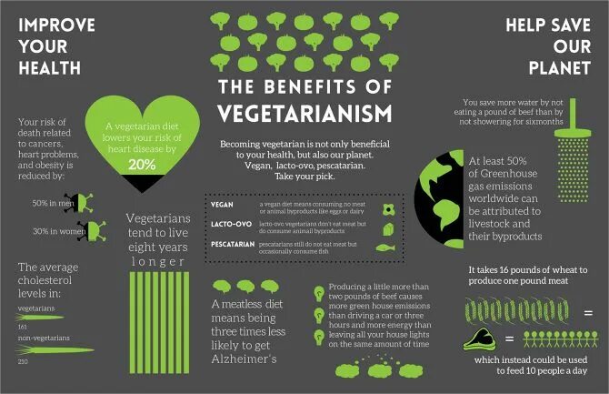 Health become. Веганы и вегетарианцы. Брошюра вегетарианство. Веган плакаты. Буклет вегетарианство за и против.
