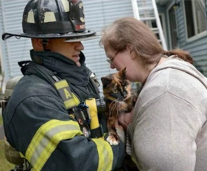 День спасения кошек. Кошки спасатели. Пожарный с котенком. Пожарный спасает.