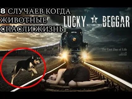 8 случаев