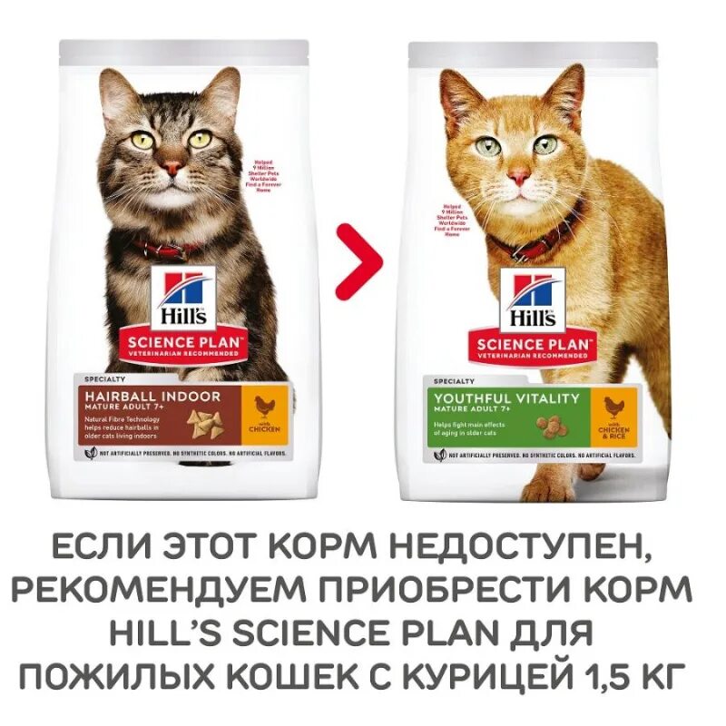 Корм для выведения шерсти из желудка. Хиллс для выведения шерсти. хиллс для пожилых кошек. хиллс для выведения шерсти для кошек. корм hills science plan hairball indoor.