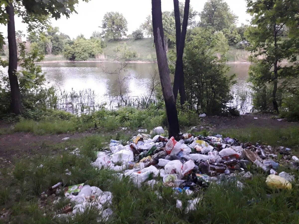 Брошенные водоемы. Семхозный пруд Саратов. Семхозный пруд в Саратове в Солнечном. Парк пруд Семхоз. ��пруд Семхоз, Солнечный-2.