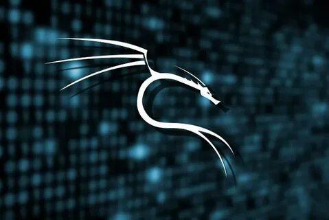 Kali linux pi