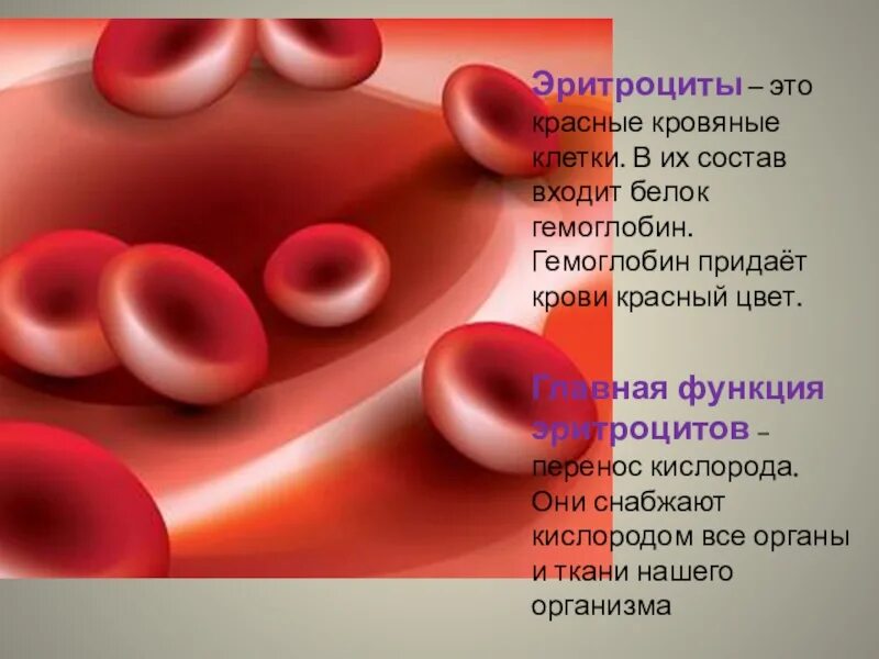 Как называется повышенный гемоглобин. Эритроциты красные кровяные клетки гемоглобин. эритроциты биология 9 класс биология. эритроциты 5 кл100мл. что придает крови красный цвет.