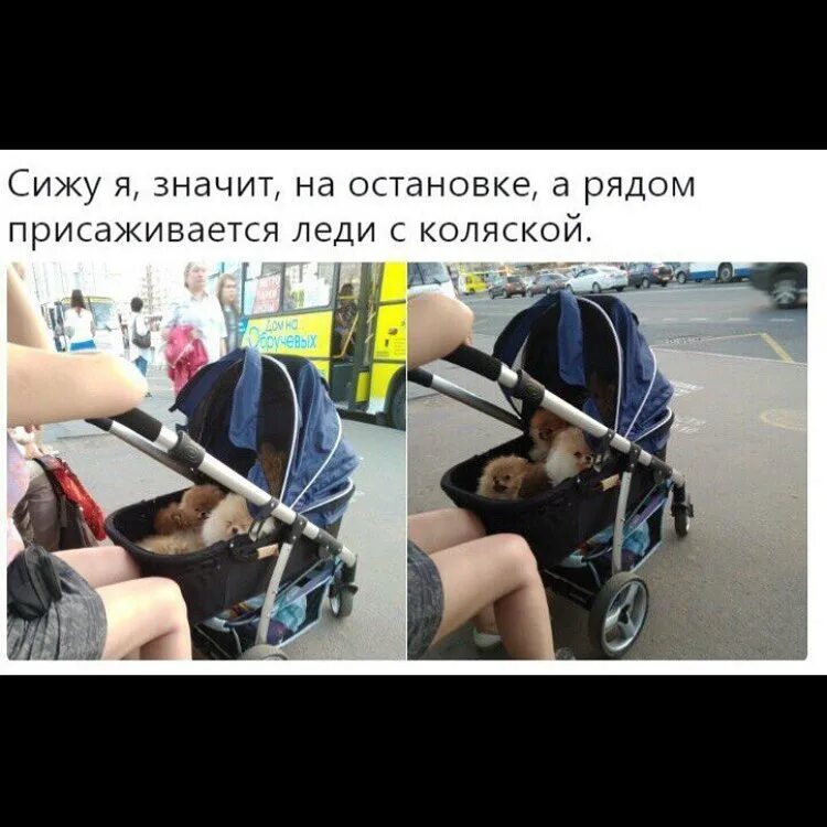 Сидят значит. Янукович в ростове фотожабы. Осанка. Если я вам не отвечаю значит за компом мой кот. Сидят значит.