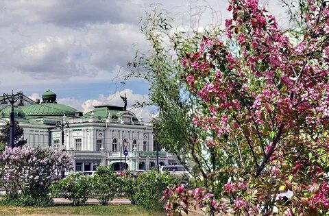 Цвету омск