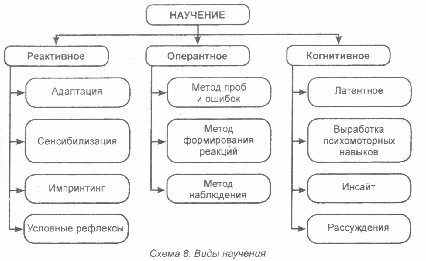 Способ научения. Виды научения. Классификация видов научения. Виды научения схема. Виды научения в психологии.