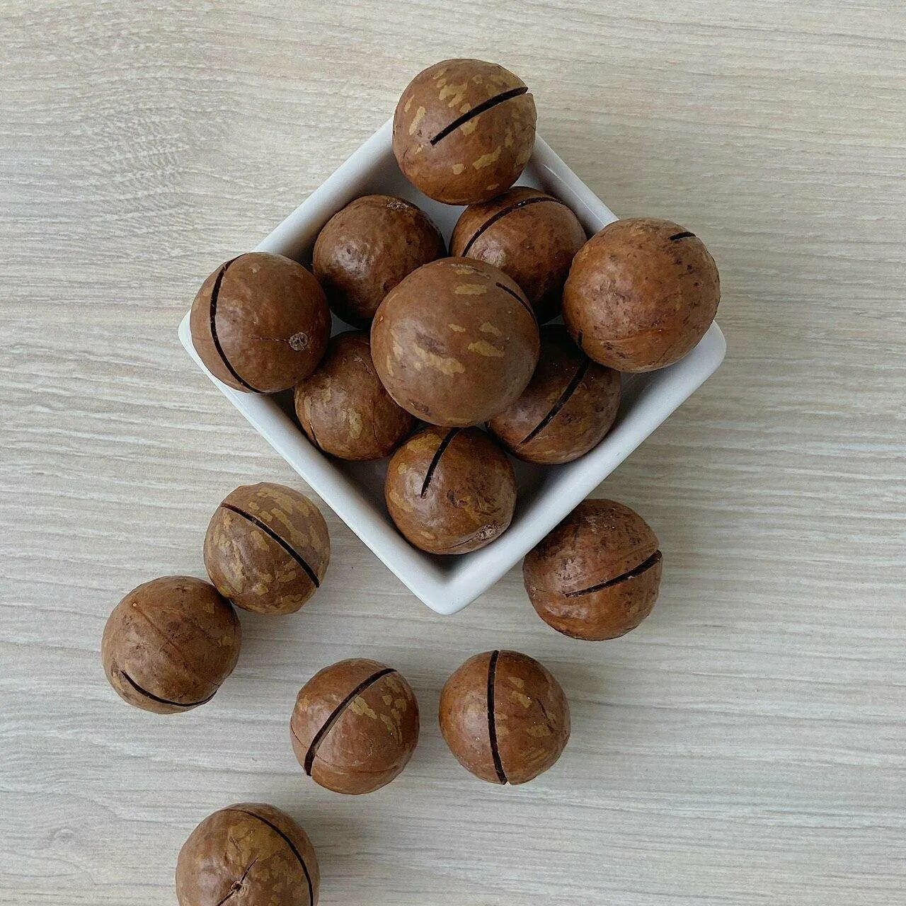 Фундук сорт исаевский. Лесной орех. Орех лещина в сибири. Как называется фундук. Как называется фундук.