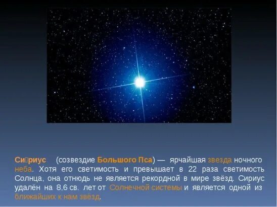 Как называется яркая звезда. Звезда каникула сириус. сириус звезда большого пса. сириус созвездие самая яркая звезда. сириус – яркая звезд созвездия большой пес.