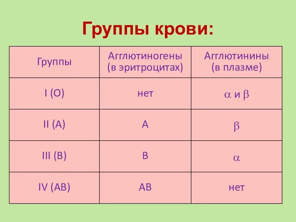 Какие группы имеют группы. Группы крови человека таблица. 2 И 4 группа крови. Биология группы крови 8 класс группы крови. Схема группы крови агглютиногены.