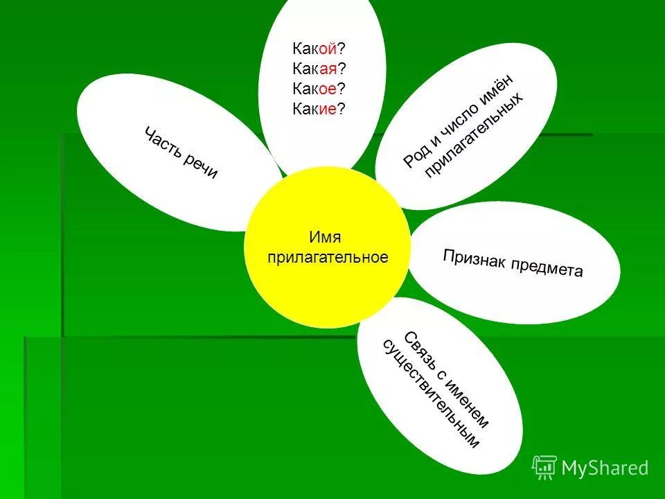 Мама она прилагательные. Ромашка прилагательное. Ромашка имя прилагательное. Прилагательные Ромашка. Ромашка какая прилагательные.