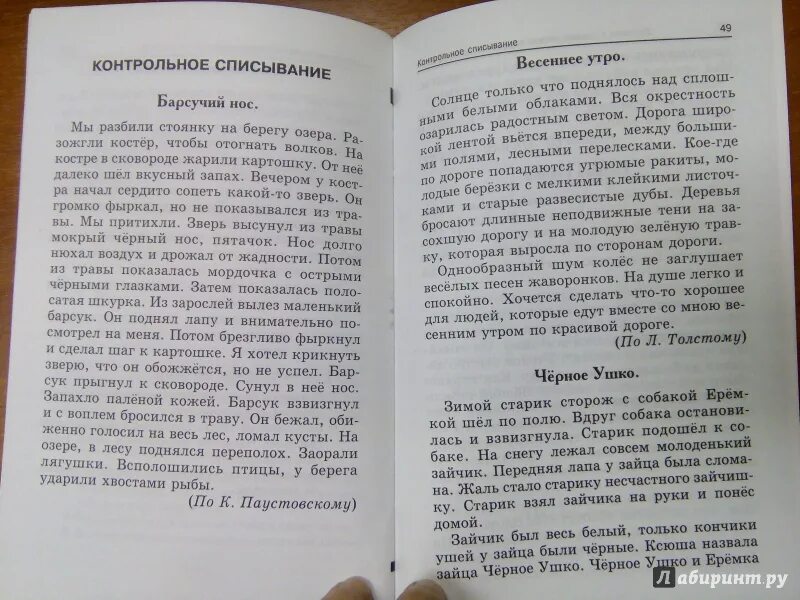 Большие диктанты. Большие диктанты по русскому языку. Диктант 9 класс. Большие тексты для диктанта. Диктант дорога к озеру 3 класс