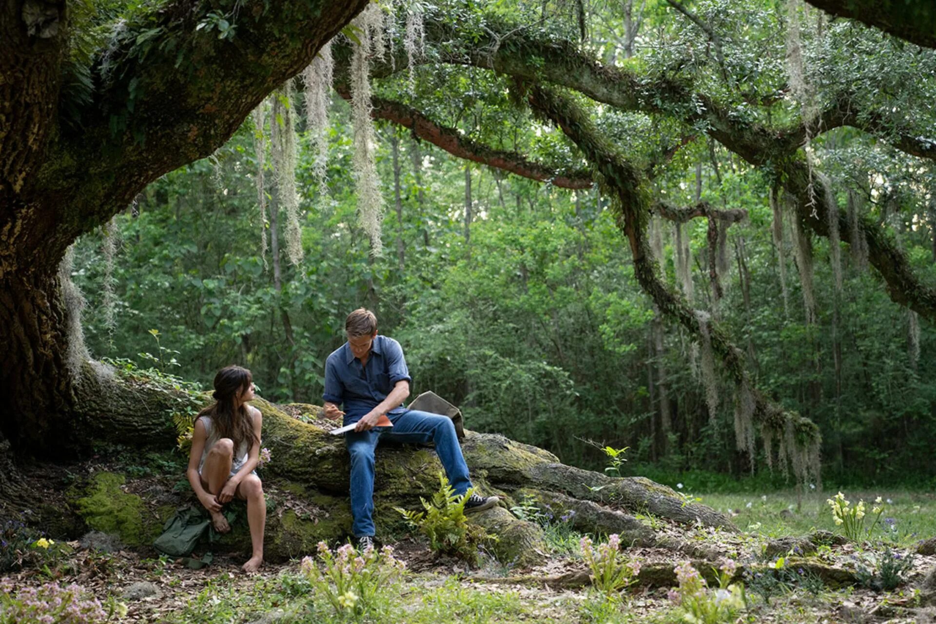 Where the trees meet. Where the crawdads sing 2025. харрис дикинсон 2025.