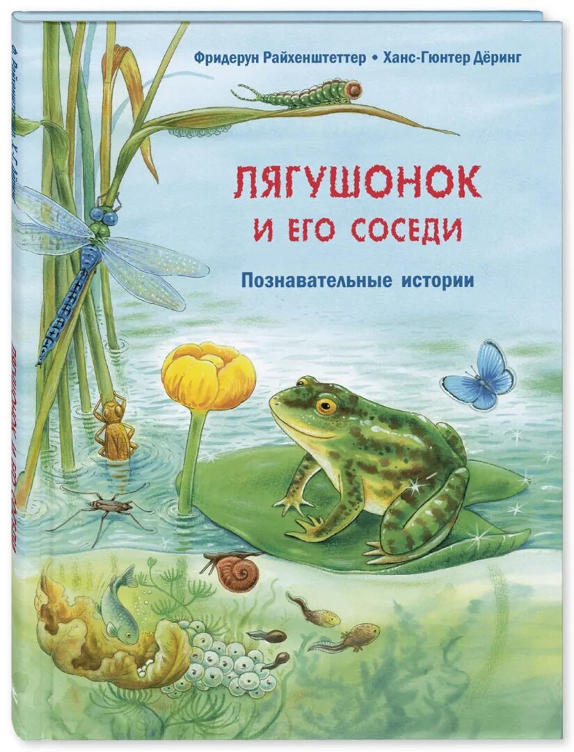 Познавательные рассказы истории. Райхенштеттер, ф. лягушонок и его соседи. фридерун райхенштеттер познавательные истории. лягушонок и его соседи познавательные истории. книга познавательная истории.