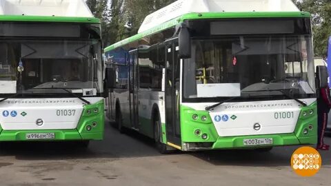 Автобусы лучшие видео