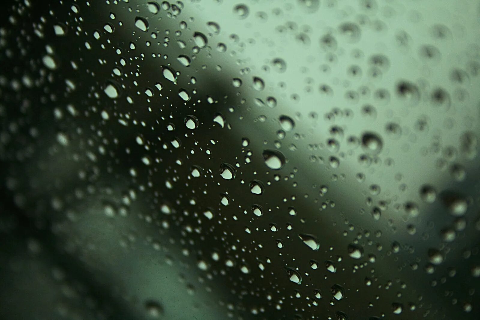 Raindrops отзывы. Обои дождь. Обои на рабочий стол природа живые обои дождь. Обои на рабочий стол летний дождь. Обои на рабочий стол дождь за окном.