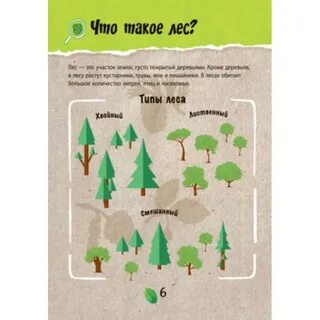 Лес читать
