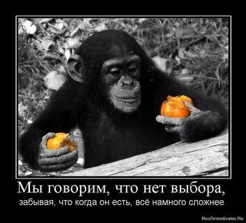 Нет я не буду выбирать
