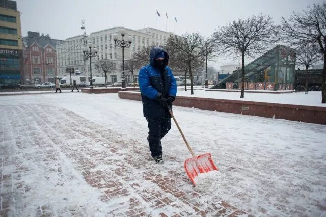 Гусев водоканал. МБУ чистота Калининград. Свежие фотографии МБУ чистота Калининград.