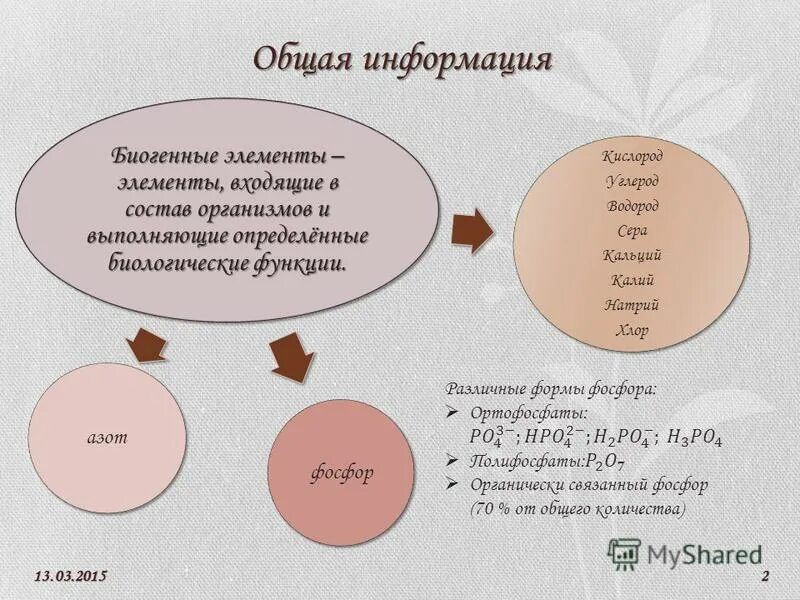 Биогенные элементы в организме человека. Биогенные элементы входящие в состав. Важнейшие биогенные элементы. Важнейшие биогенные элементы. Биогенные элементы это химические элементы.