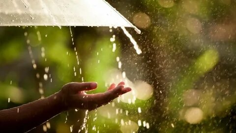 Rainfall