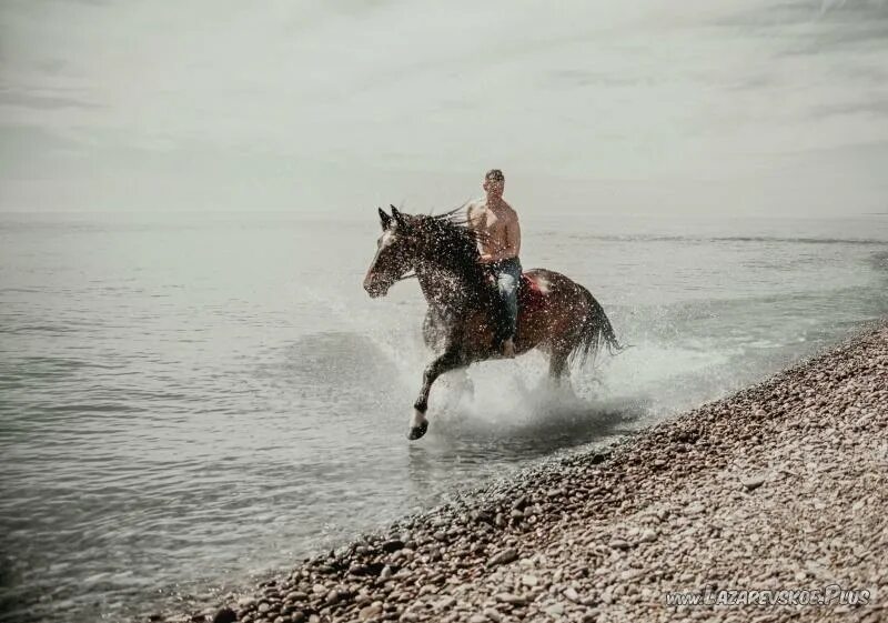 Фотосессия с лошадьми. Лазаревское фотосессия на лошадях. Прогулка на лошадях по морю. Прогулка на лошадях Лазаревское.