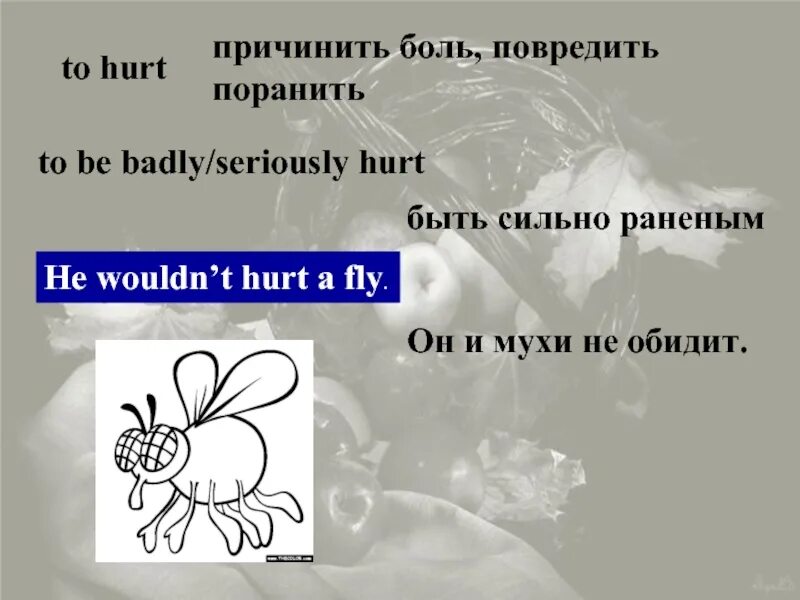 Wouldn't hurt a Fly. He would not hurt a Fly. More ... Than hurt idiom. Мухи не обидит значение
