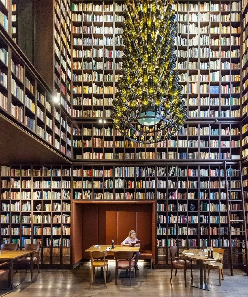 Какая библиотека лучше. Библиотека-бар в Цюрихе.. Библиотека Джироламини Италия. Красивая библиотека. Самые красивые библиотеки.