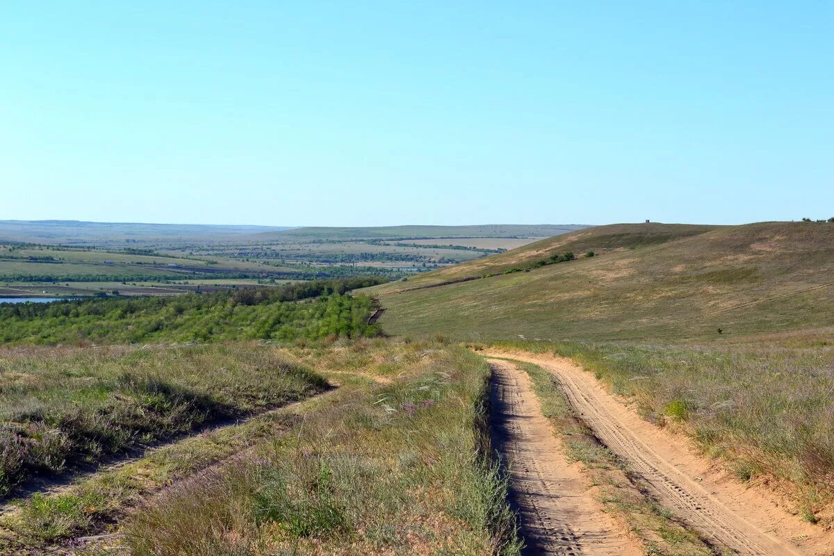 степная зона самарской области. заповедник приволжская лесостепь в пензенской области. природный заповедник «приволжская лесостепь». минусинская степь суриков. степи поволжья почвы.